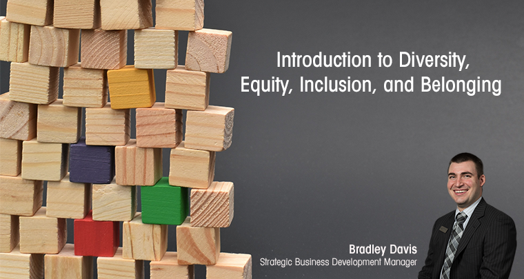 Introduction to Diversity, Equity, Inclusion, and Belonging (DEI&B) image